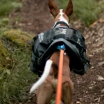 Amundsen Pack - Image 12