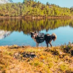 Amundsen Pack - Image 11