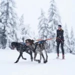 Bungee leash double - Image 4
