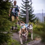 Bungee leash double - Image 5