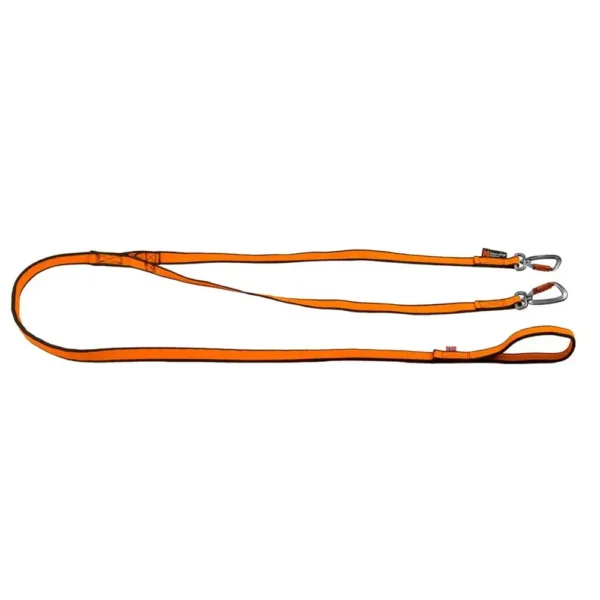 Bungee leash double