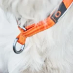 Cruise collar - Image 6