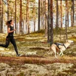 Freemotion harness - Image 9
