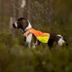 Protector vest - Image 5