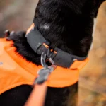 Protector collar - Image 4