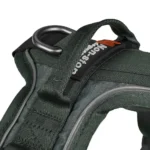 Ramble harness - Image 5