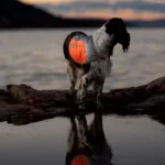 Reflection blanket - Image 6