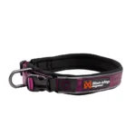 Roam collar - Image 2
