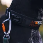 Rock adjustable collar - Image 8