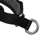 Rock collar 3.0 - Image 3