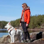 Rock leash - Image 5