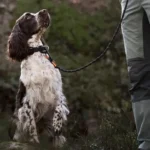 Rock leash - Image 6