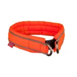 Safe collar - Image 2