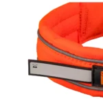 Safe collar - Image 3
