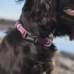 Tuble collar - Image 7
