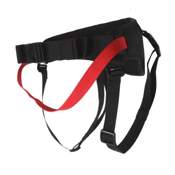 Belt CaniOne