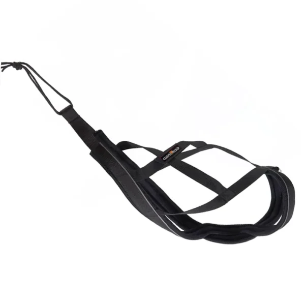 Harness CaniOne