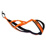 Harness CaniOne - Image 2